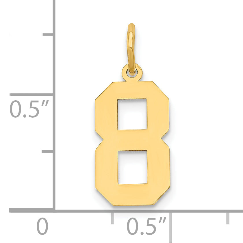 14k Yellow Gold 14k Medium Polished Number 8 Charm