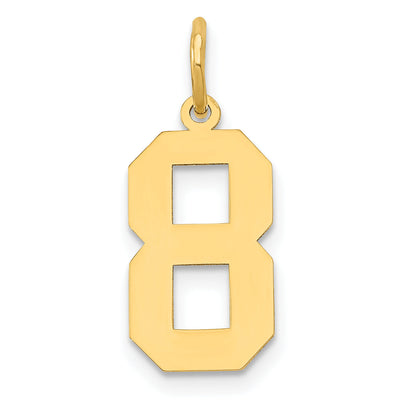 14k Yellow Gold 14k Medium Polished Number 8 Charm