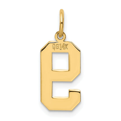14k Yellow Gold 14k Medium Polished Number 9 Charm