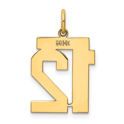 14K Yellow Gold Medium Polished Number 12 Charm