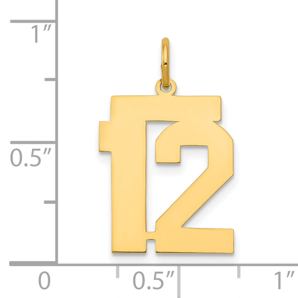 14K Yellow Gold Medium Polished Number 12 Charm