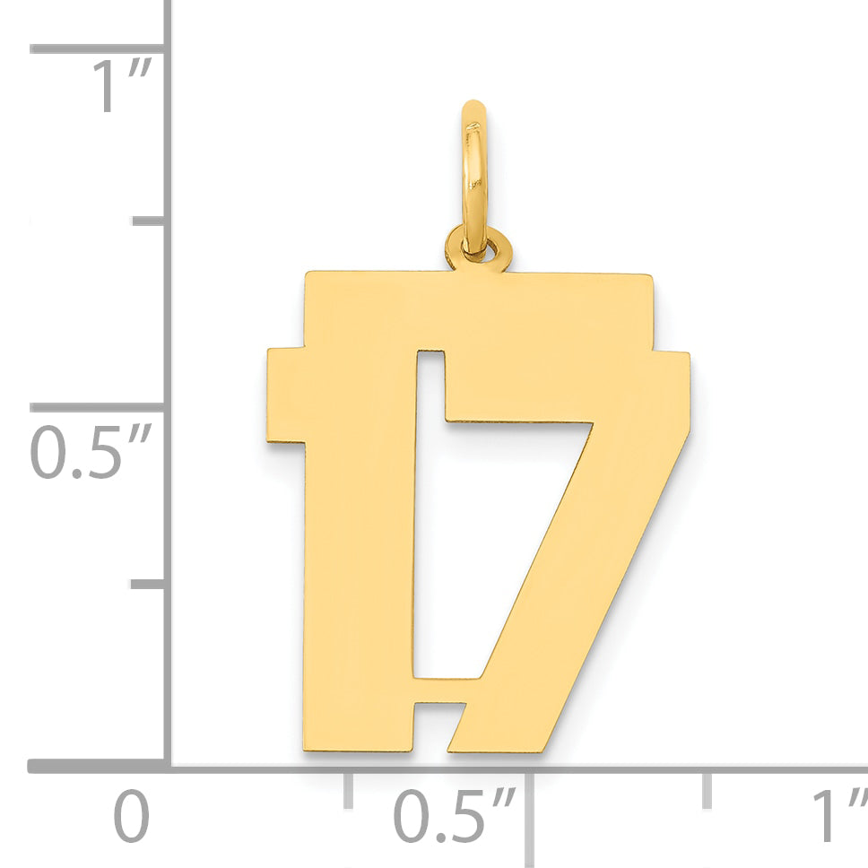 14k Yellow Gold 14k Medium Polished Number 17 Charm