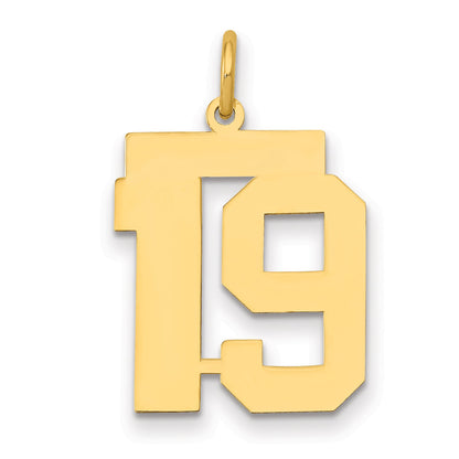 14K Yellow Gold Medium Polished Number 19 Charm