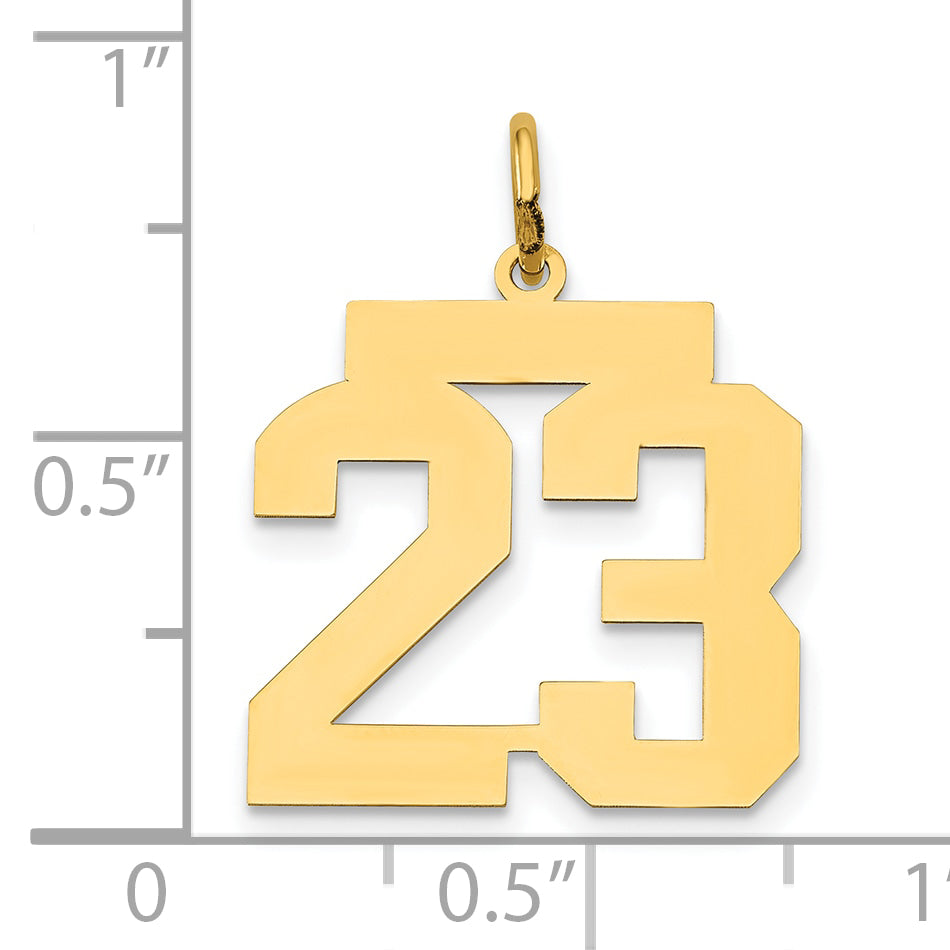 14k Yellow Gold 14k Medium Polished Number 23 Charm