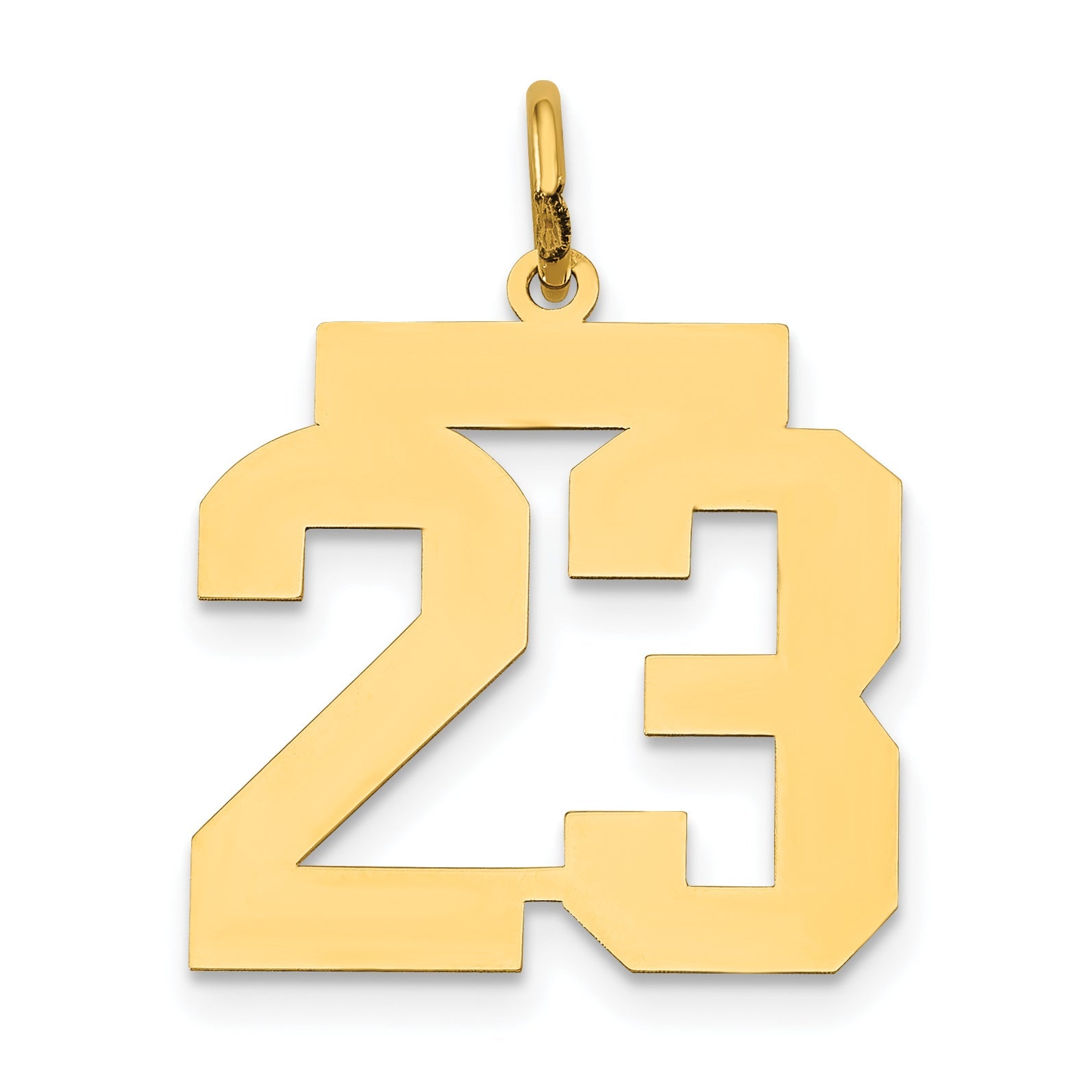 14k Yellow Gold 14k Medium Polished Number 23 Charm