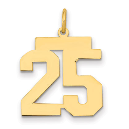 14K Yellow Gold Medium Polished Number 25 Charm
