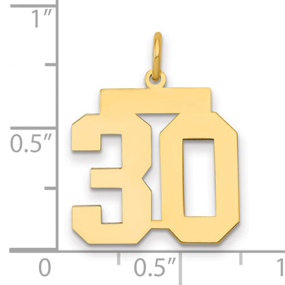 14K Yellow Gold Medium Polished Number 30 Charm