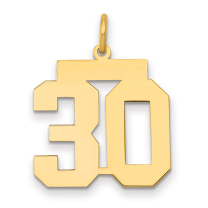 14K Yellow Gold Medium Polished Number 30 Charm