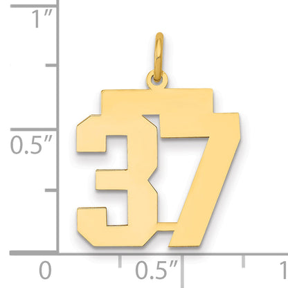 14K Yellow Gold Medium Polished Number 37 Charm
