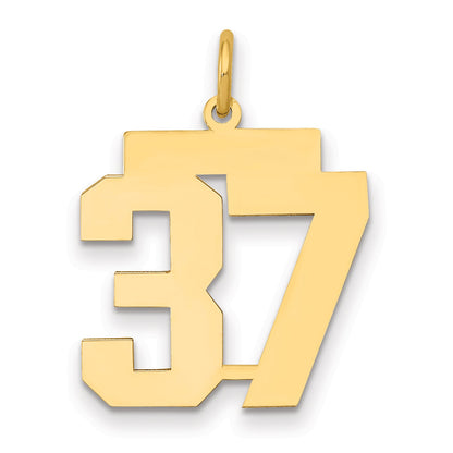 14K Yellow Gold Medium Polished Number 37 Charm
