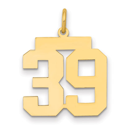 14K Yellow Gold Medium Polished Number 39 Charm