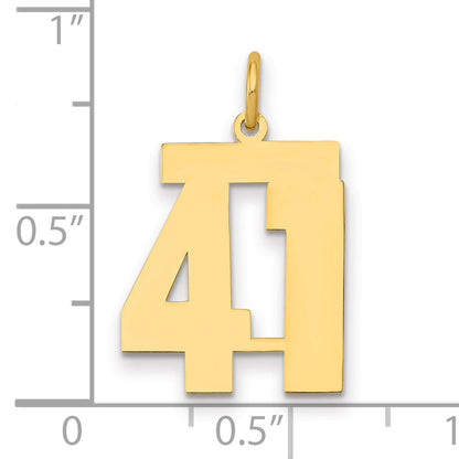 14K Yellow Gold Medium Polished Number 41 Charm