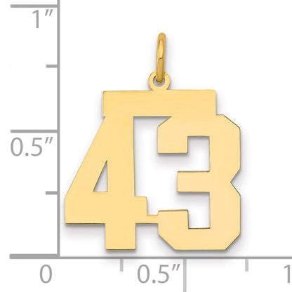 14K Yellow Gold Medium Polished Number 43 Charm