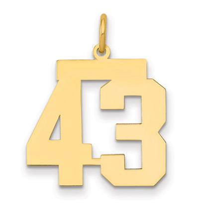 14K Yellow Gold Medium Polished Number 43 Charm
