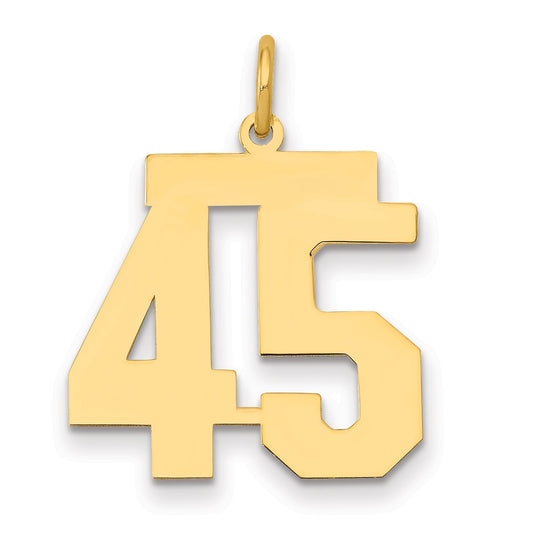 14K Yellow Gold Medium Polished Number 45 Charm