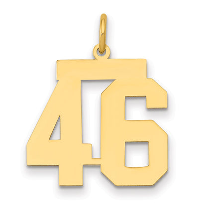 14K Yellow Gold Medium Polished Number 46 Charm