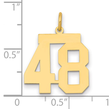14K Yellow Gold Medium Polished Number 48 Charm