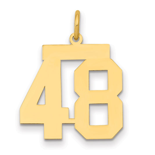 14K Yellow Gold Medium Polished Number 48 Charm