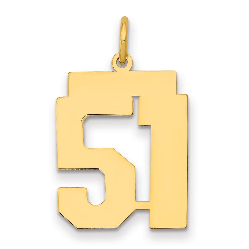14K Yellow Gold Medium Polished Number 51 Charm