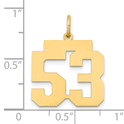 14k Yellow Gold 14k Medium Polished Number 53 Charm