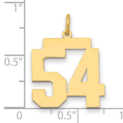 14K Yellow Gold Medium Polished Number 54 Charm