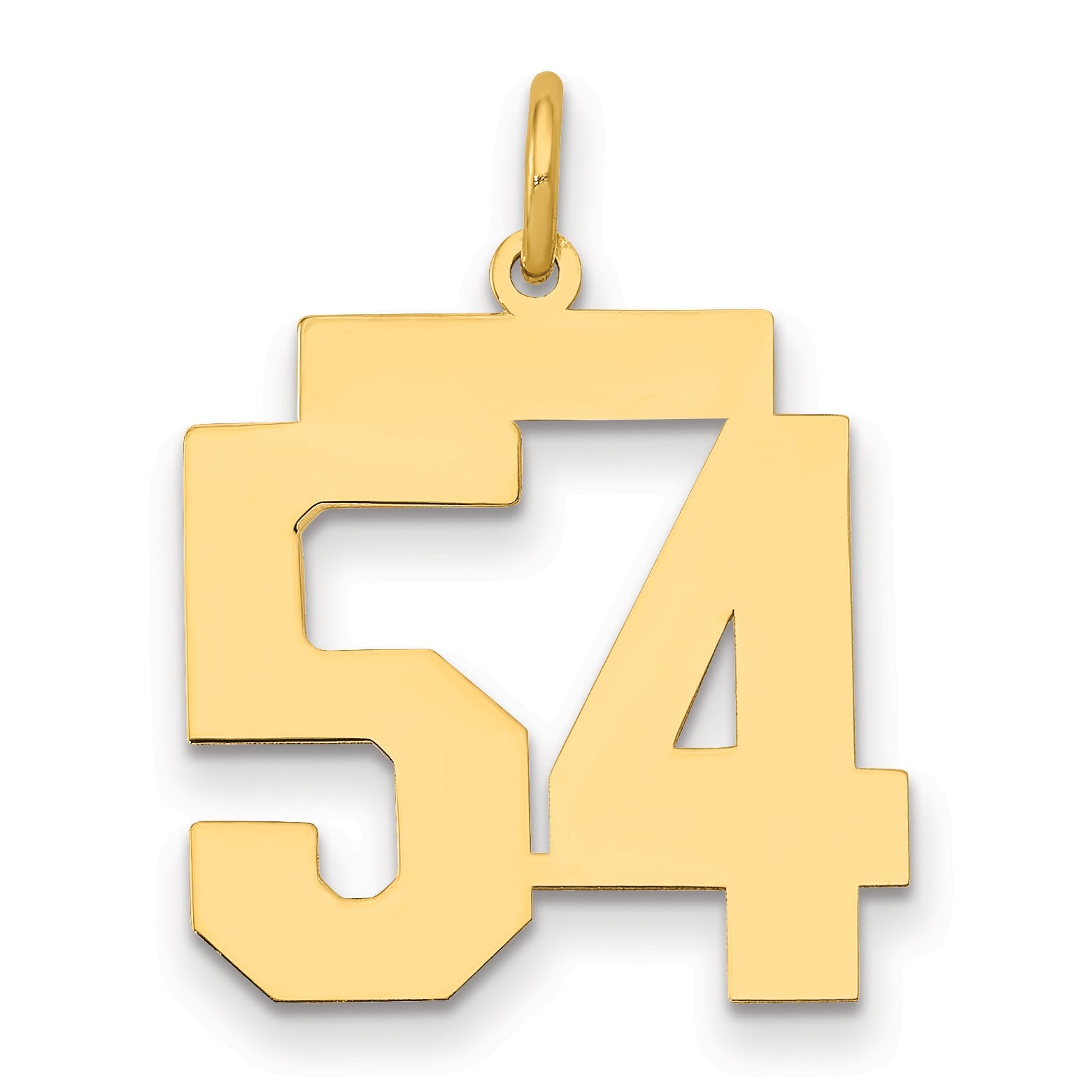14K Yellow Gold Medium Polished Number 54 Charm