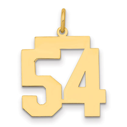 14K Yellow Gold Medium Polished Number 54 Charm