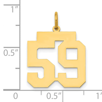 14k Yellow Gold 14k Medium Polished Number 59 Charm