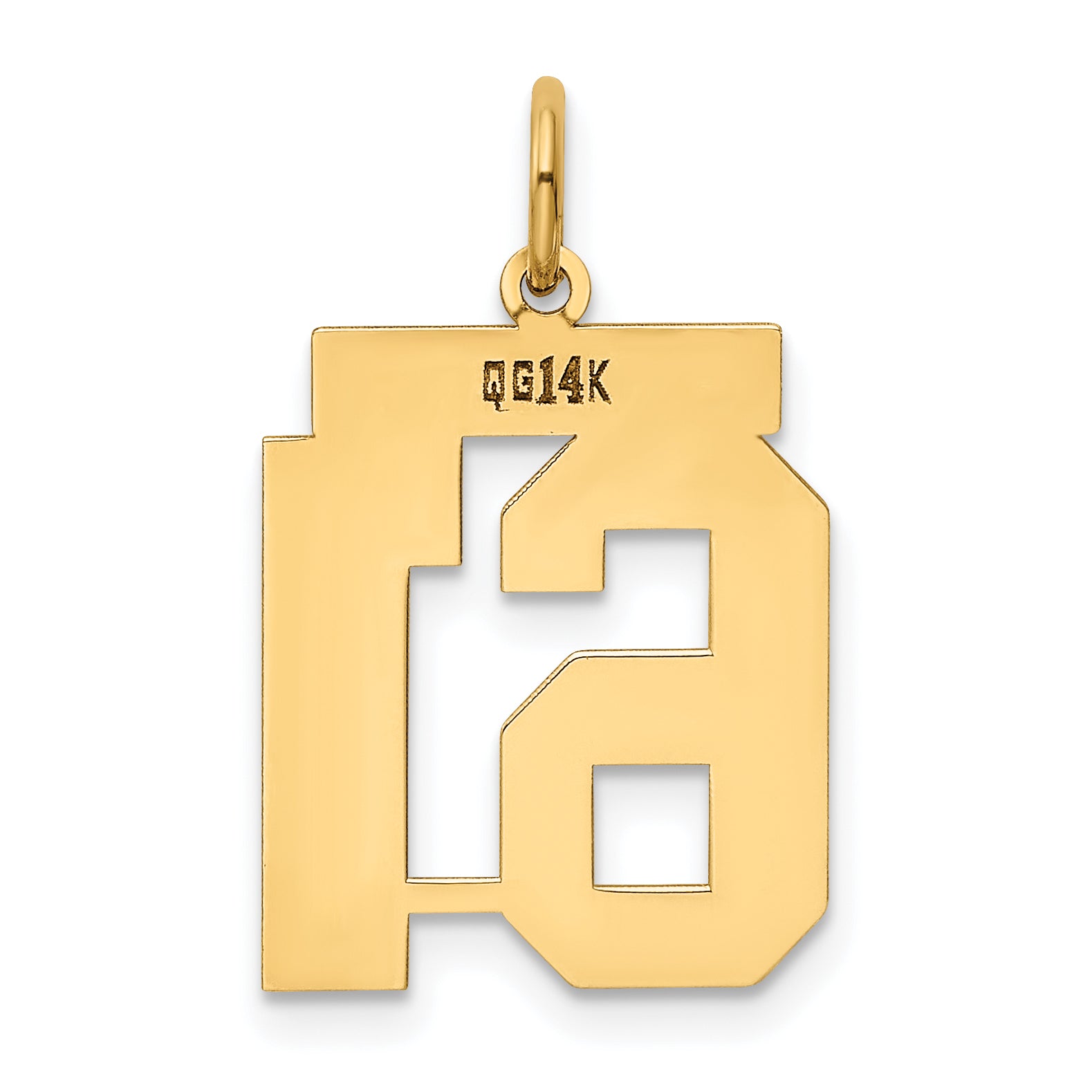 14k Yellow Gold 14k Medium Polished Number 61 Charm
