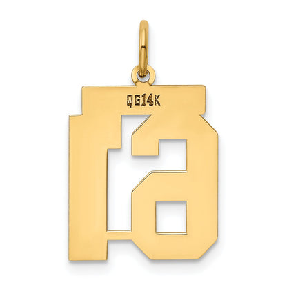 14k Yellow Gold 14k Medium Polished Number 61 Charm
