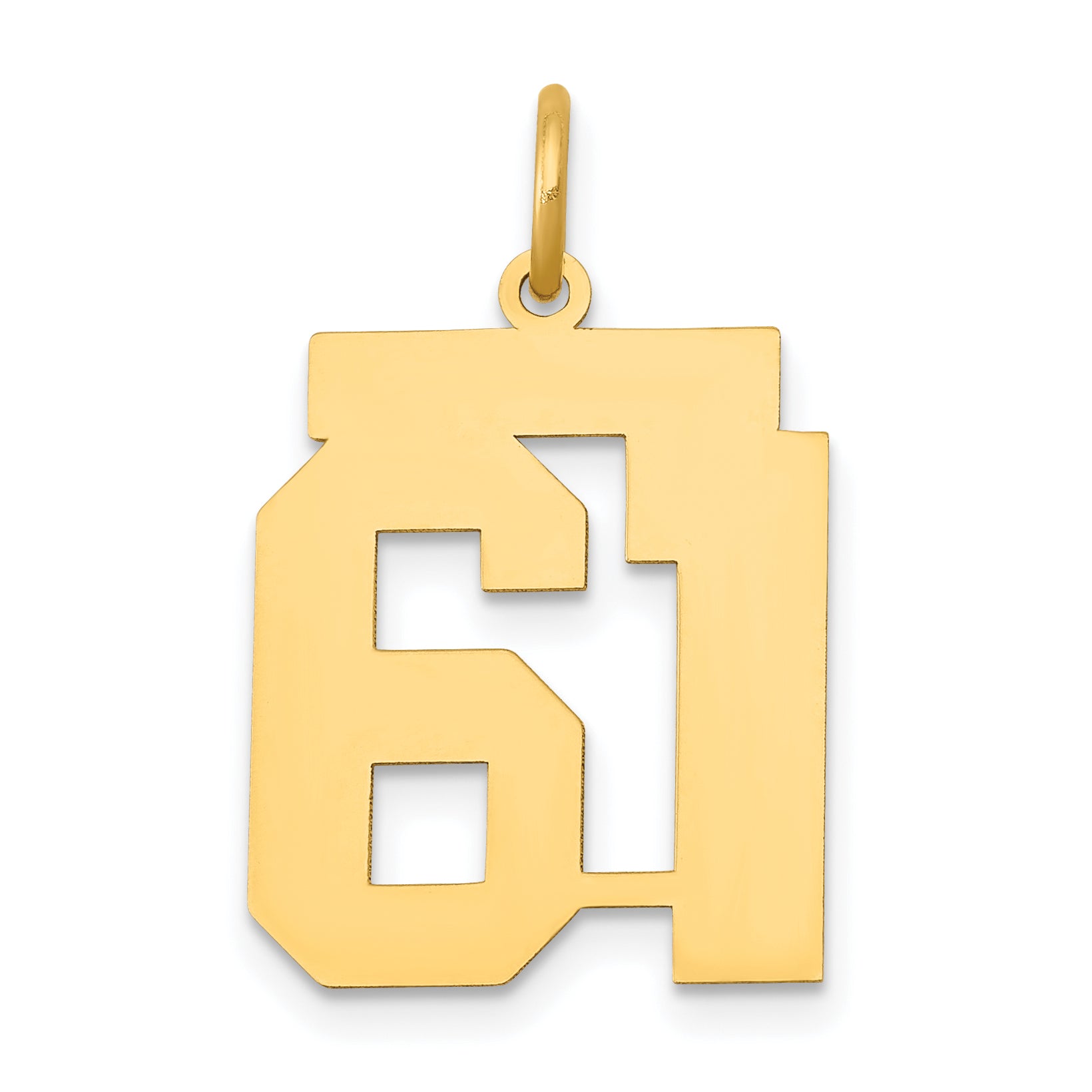 14k Yellow Gold 14k Medium Polished Number 61 Charm