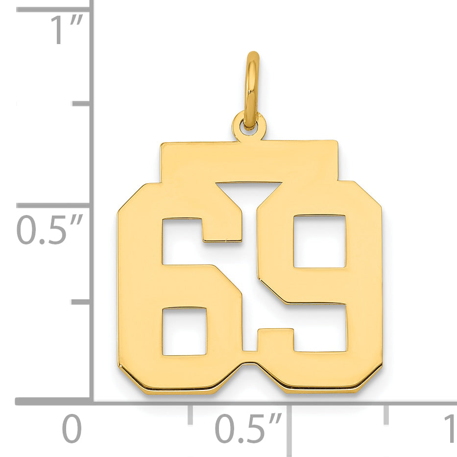 14K Yellow Gold Medium Polished Number 69 Charm