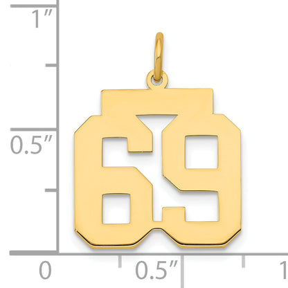 14K Yellow Gold Medium Polished Number 69 Charm