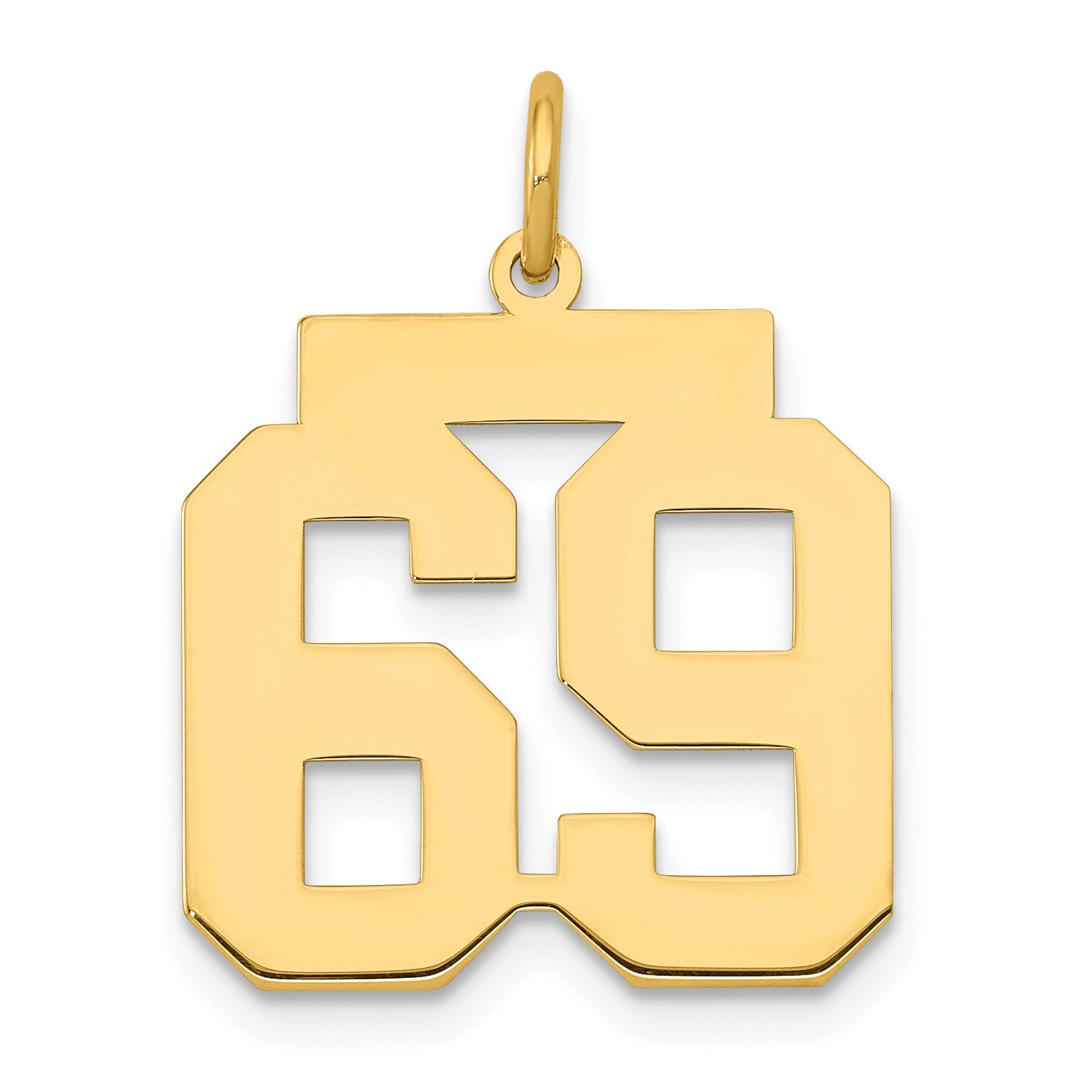14K Yellow Gold Medium Polished Number 69 Charm
