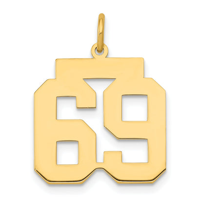 14K Yellow Gold Medium Polished Number 69 Charm