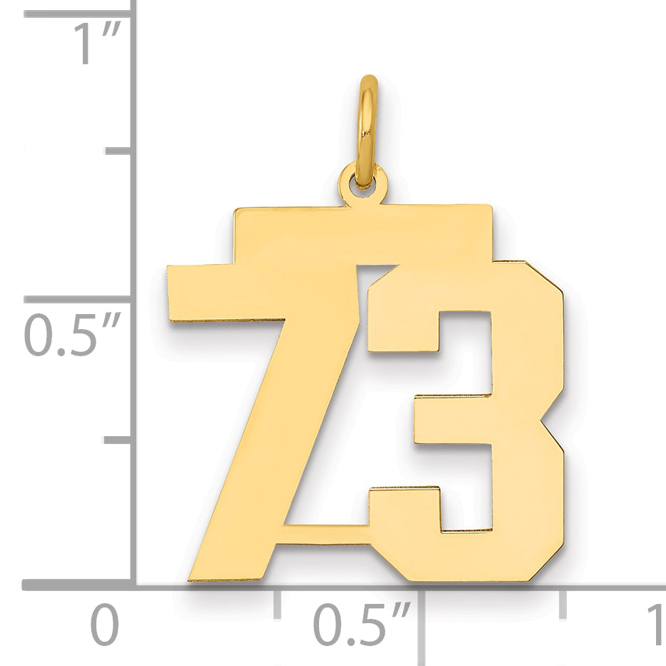 14K Yellow Gold Medium Polished Number 73 Charm