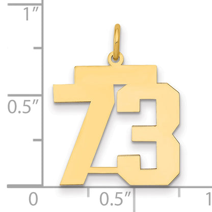 14K Yellow Gold Medium Polished Number 73 Charm