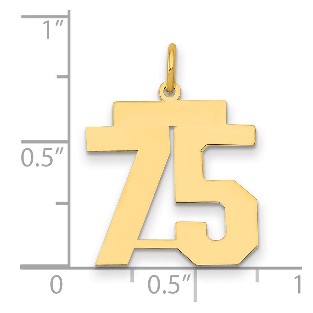 14K Yellow Gold Medium Polished Number 75 Charm