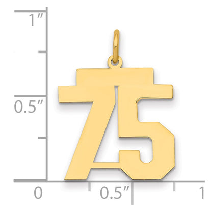 14K Yellow Gold Medium Polished Number 75 Charm