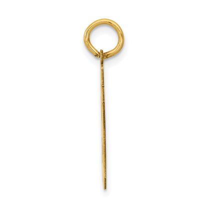 14K Yellow Gold Medium Polished Number 89 Charm