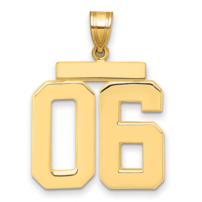 10K Yellow Gold Large Polished Number 06 Charm
