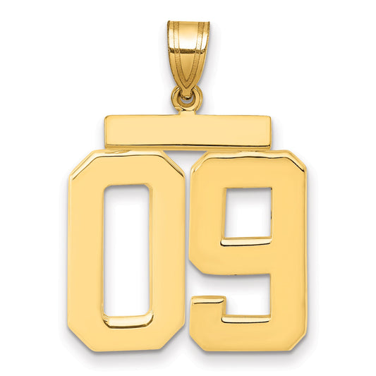 10K Yellow Gold Large Polished Number 09 Charm