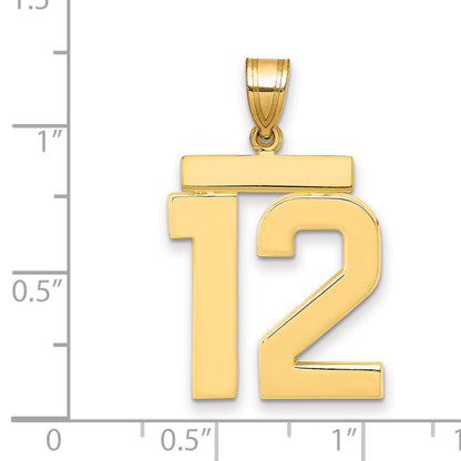 10K Yellow Gold Large Polished Number 12 Charm
