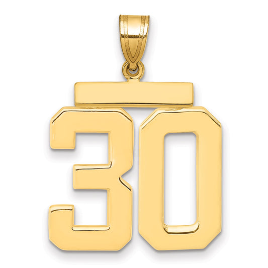 10K Yellow Gold Large Polished Number 30 Charm