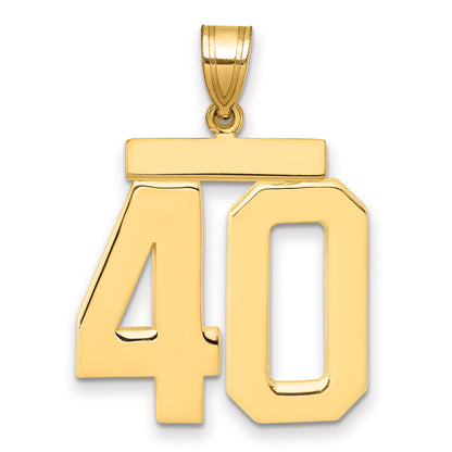 10K Yellow Gold Large Polished Number 40 Charm