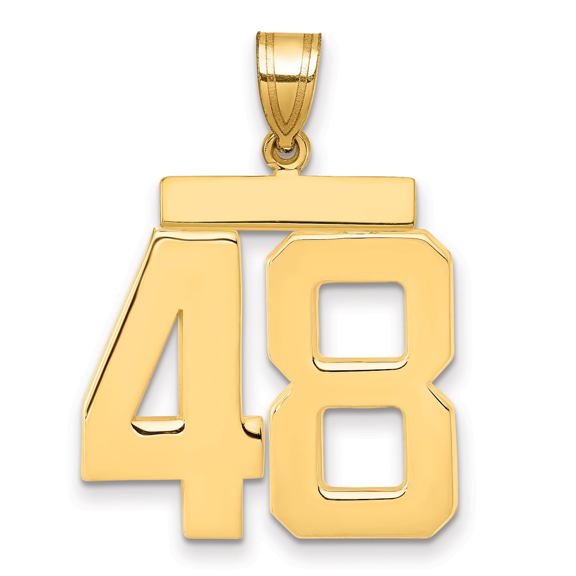 10K Yellow Gold Large Polished Number 48 Charm