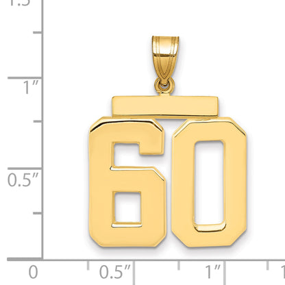 10K Yellow Gold Large Polished Number 60 Charm