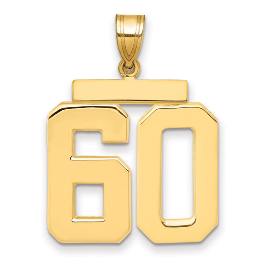 10K Yellow Gold Large Polished Number 60 Charm