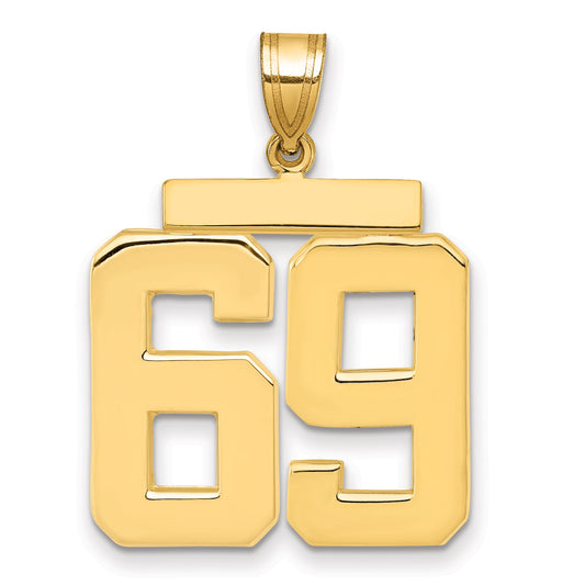 10K Yellow Gold Large Polished Number 69 Charm