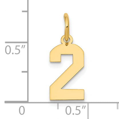 14k Yellow Gold 14k Small Polished Number 2 Charm